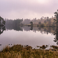 Buy canvas prints of Tarn Hows Landscape by Tim Hill