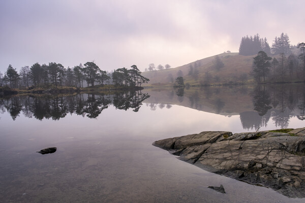 Daybreak at Tarn Hows Picture Board by Tim Hill