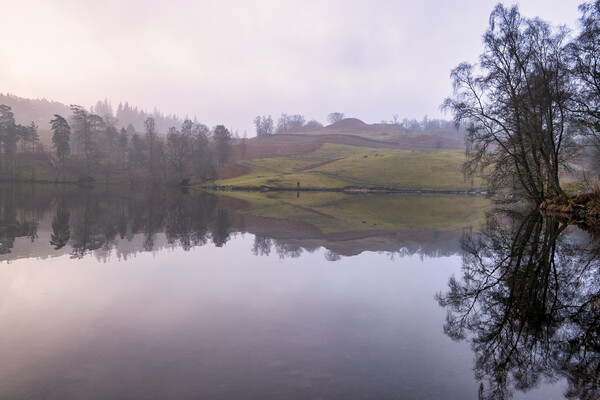 Tarn Hows Waterside Picture Board by Tim Hill