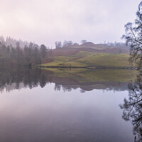 Buy canvas prints of Tarn Hows Waterside by Tim Hill