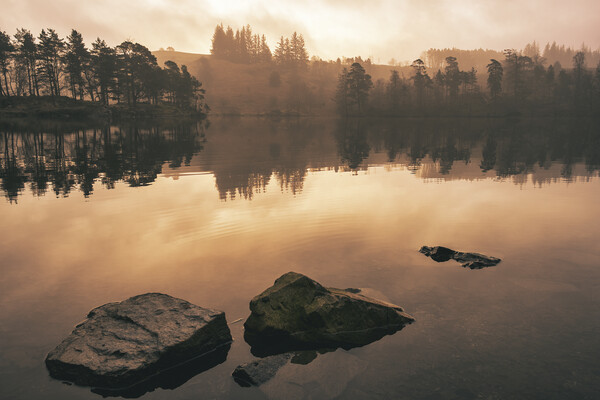 Serene Reflections at Tarn Hows Picture Board by Tim Hill