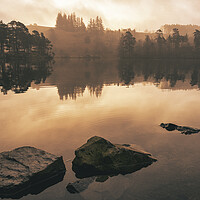 Buy canvas prints of Serene Reflections at Tarn Hows by Tim Hill