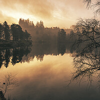 Buy canvas prints of Tarn Hows Sunrise by Tim Hill
