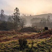 Buy canvas prints of Misty Sunrise Over Tarn Hows by Tim Hill