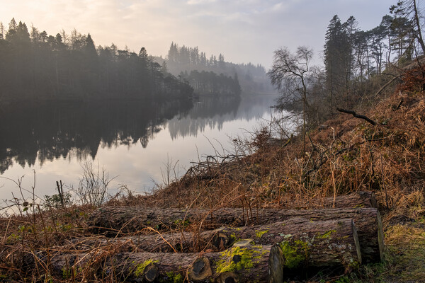 Tarn Hows Landscape Picture Board by Tim Hill