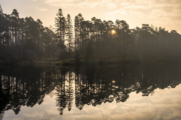 Sunrise at Tarn Hows Picture Board by Tim Hill
