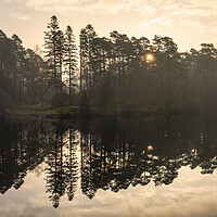 Buy canvas prints of Sunrise at Tarn Hows by Tim Hill