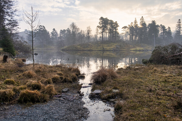 Serene Reflections at Misty Tarn Hows Picture Board by Tim Hill