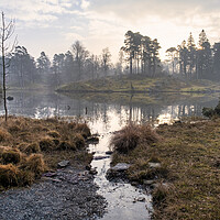 Buy canvas prints of Serene Reflections at Misty Tarn Hows by Tim Hill
