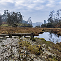Buy canvas prints of Tarn Hows Bench by Tim Hill