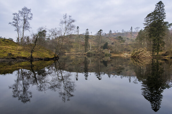 Tarn Hows Reflections Picture Board by Tim Hill