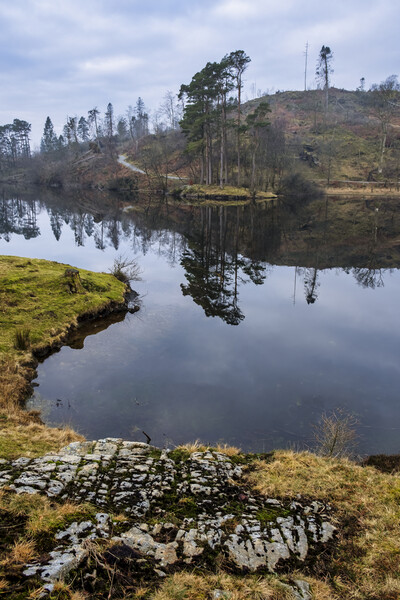 Tarn Hows Landscape Picture Board by Tim Hill