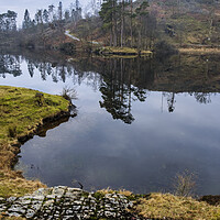 Buy canvas prints of Tarn Hows Landscape by Tim Hill