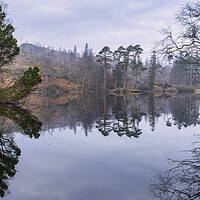 Buy canvas prints of Misty Tarn Hows Reflections by Tim Hill