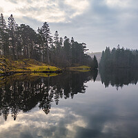 Buy canvas prints of Tarn Hows Reflections by Tim Hill