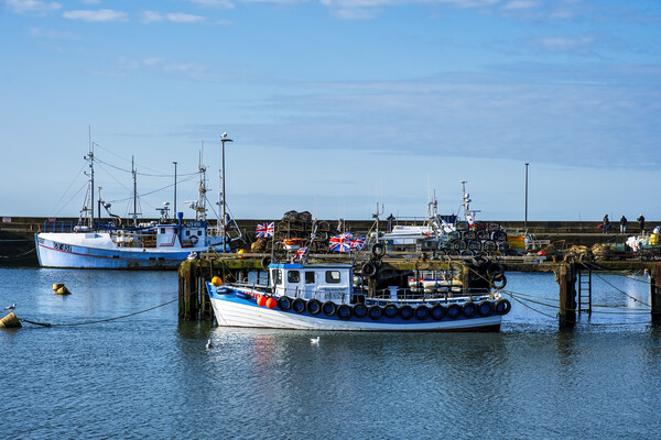 Bridlington Harbour Fishing Boat Picture Board by Tim Hill