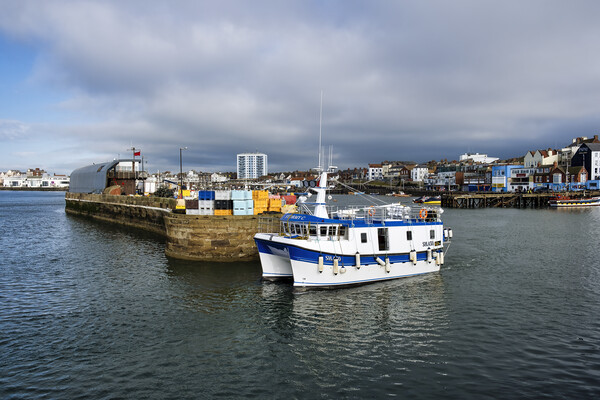 Stormy C leaved Bridlington Harbour Picture Board by Tim Hill