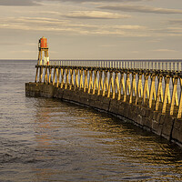 Buy canvas prints of Whitby East Pier Extension by Tim Hill