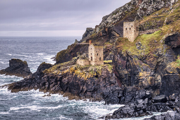 Botallack Mine and Crown Engine Houses Picture Board by Tim Hill