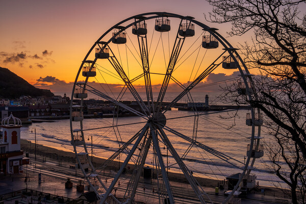 Scarborough Big Wheel and South Bay at Sunrise Picture Board by Tim Hill