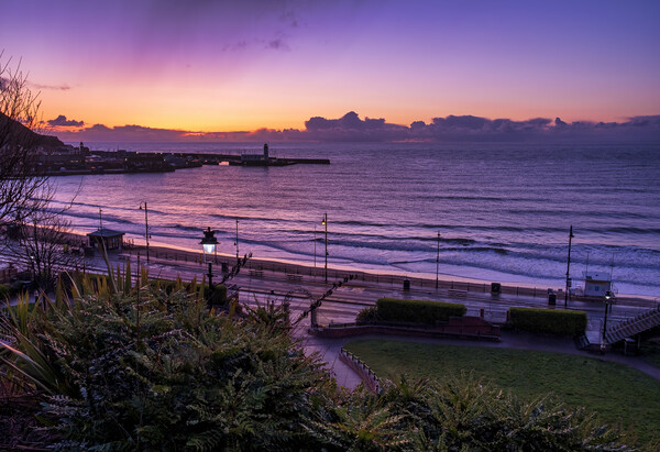 Radiant Sunrise at Scarborough Picture Board by Tim Hill