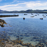 Buy canvas prints of Porthdinllaen Bay Panoramic by Tim Hill