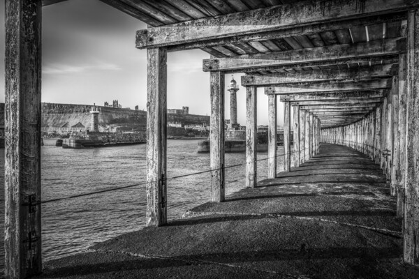 Whitby Pier Black and White Picture Board by Tim Hill