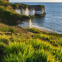 Buy canvas prints of Flamborough Head Cliffs in Springtime by Tim Hill