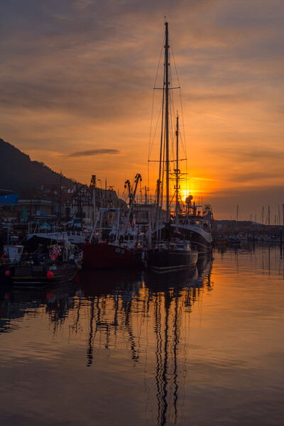 Scarborough Harbour Sunrise Picture Board by Tim Hill