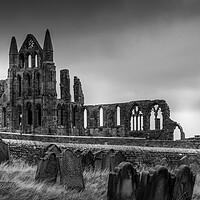 Buy canvas prints of Whitby Abbey from St Marys Graveyard by Tim Hill