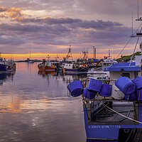 Buy canvas prints of Seahouses Harbour Sunrise by Tim Hill