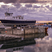 Buy canvas prints of Seahouses Harbour by Tim Hill