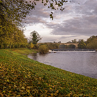 Buy canvas prints of Tadcaster Weir North Yorkshire by Tim Hill