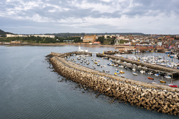 Scarborough Harbour and South Bay from Above Picture Board by Tim Hill