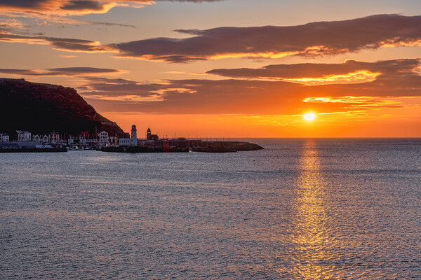 Golden Sunrise over Scarborough Harbour Picture Board by Tim Hill