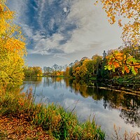 Buy canvas prints of Golden Foliage Reflected on Wakefield Lake by Tim Hill