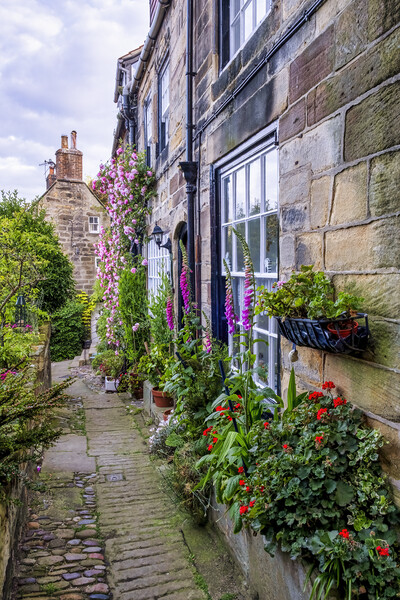 A Secret Garden on the Yorkshire Coast Picture Board by Tim Hill