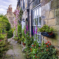 Buy canvas prints of A Secret Garden on the Yorkshire Coast by Tim Hill