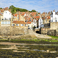 Buy canvas prints of Robin Hoods Bay Yorkshire by Tim Hill