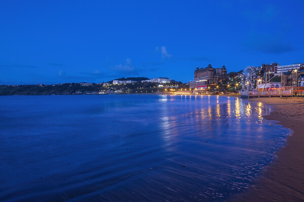A Serene Blue Hour in Scarborough Picture Board by Tim Hill