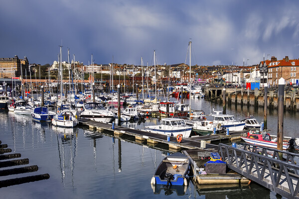 Scarborough Harbour Yorkshire Picture Board by Tim Hill