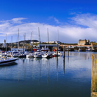 Buy canvas prints of Scarborough Harbour Panoramic by Tim Hill