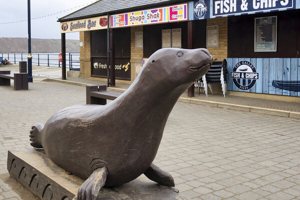 Bonzo the Seal at Filey Picture Board by Tim Hill