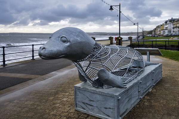 Filey Giant Seal Picture Board by Tim Hill