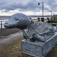 Buy canvas prints of Filey Giant Seal by Tim Hill