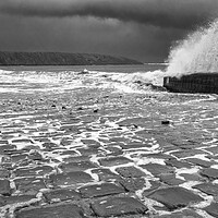 Buy canvas prints of Filey Cobble Landing Black and White by Tim Hill