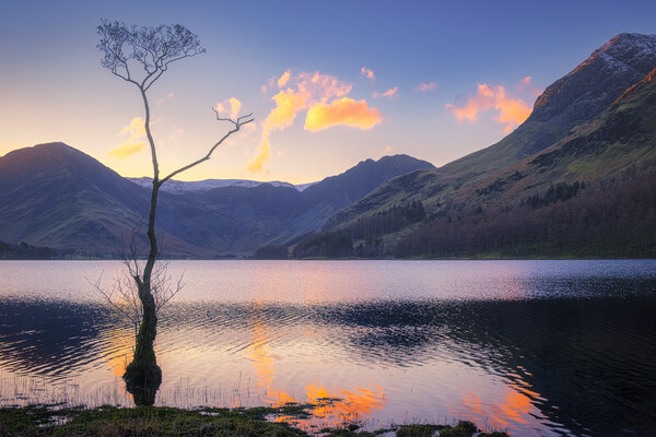 Serenity in Buttermere Picture Board by Tim Hill