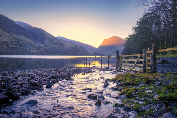 Golden Sunrise at Buttermere Picture Board by Tim Hill