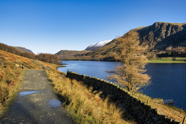 Winter Wonderland at Buttermere Picture Board by Tim Hill