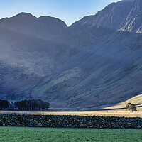 Buy canvas prints of Haystacks Sun Rays by Tim Hill